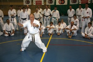 Makotokay Karate